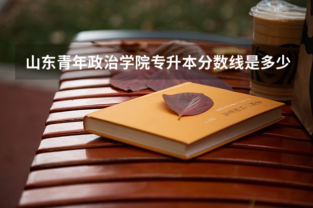 山东青年政治学院专升本分数线是多少 山东青年政治学院专升本专业推荐