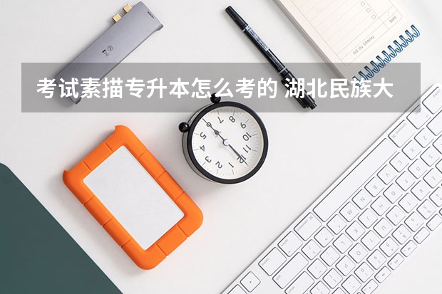 考试素描专升本怎么考的 湖北民族大学美术专升本素描考什么