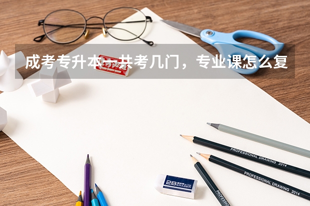 成考专升本一共考几门，专业课怎么复习？