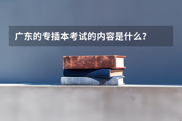 广东的专插本考试的内容是什么？