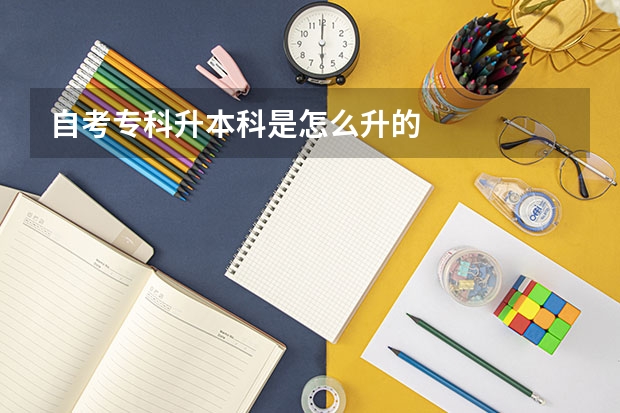 自考专科升本科是怎么升的