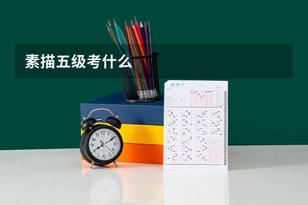 素描五级考什么
