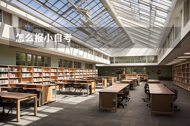 怎么报小自考