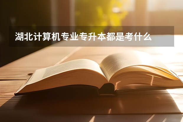 湖北计算机专业专升本都是考什么