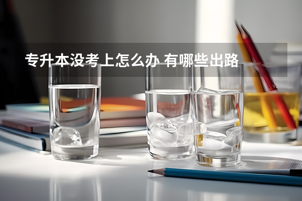 专升本没考上怎么办 有哪些出路