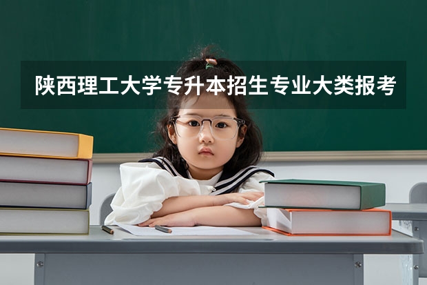陕西理工大学专升本招生专业大类报考占比表（专升本招生专业）