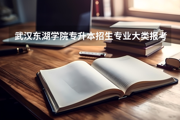 武汉东湖学院专升本招生专业大类报考占比表（专升本招生专业）