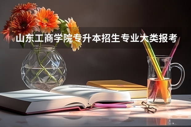 山东工商学院专升本招生专业大类报考占比表（专升本招生专业）