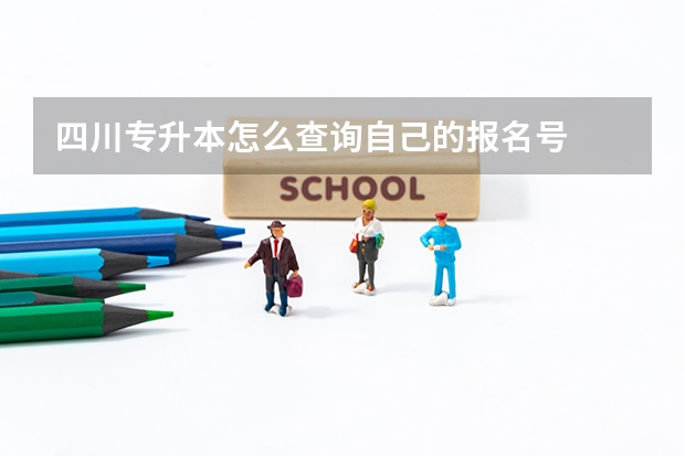 四川专升本怎么查询自己的报名号