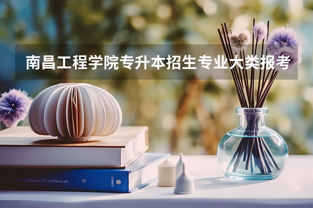 南昌工程学院专升本招生专业大类报考占比表（专升本招生专业）
