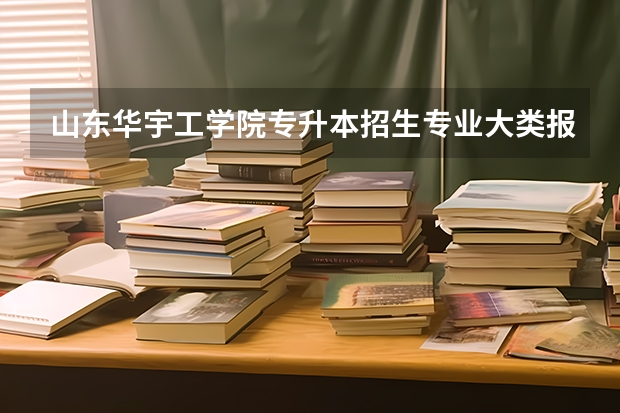 山东华宇工学院专升本招生专业大类报考占比表（专升本招生专业）