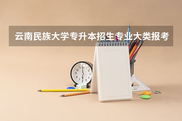 云南民族大学专升本招生专业大类报考占比表（专升本招生专业）