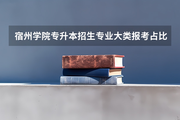 宿州学院专升本招生专业大类报考占比表（专升本招生专业）