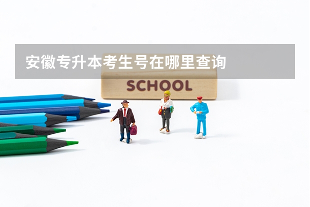 安徽专升本考生号在哪里查询