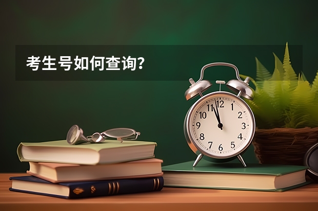 考生号如何查询？