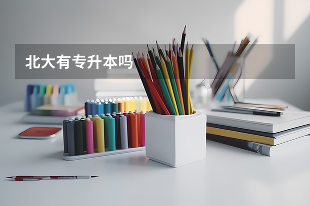 北大有专升本吗