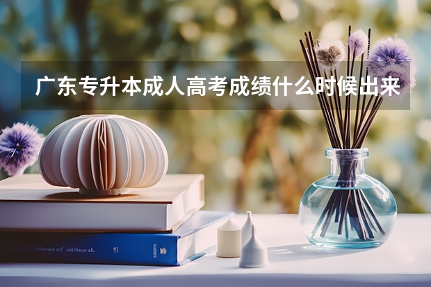 广东专升本成人高考成绩什么时候出来？