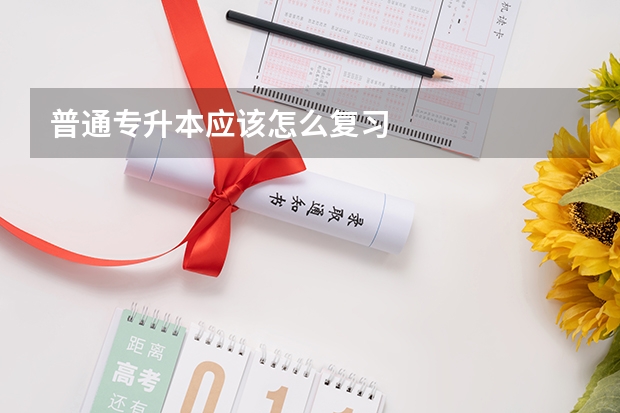 普通专升本应该怎么复习