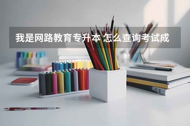 我是网路教育专升本 怎么查询考试成绩？