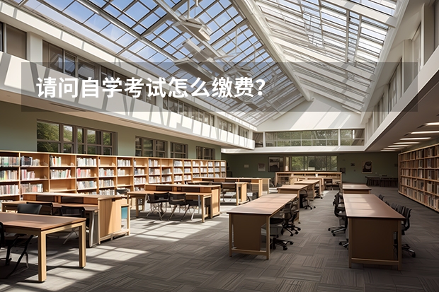 请问自学考试怎么缴费？