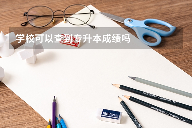 学校可以查到专升本成绩吗
