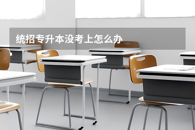 统招专升本没考上怎么办