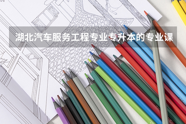 湖北汽车服务工程专业专升本的专业课考试只考选择题？还有什么题？