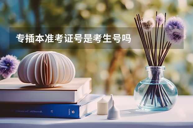 专插本准考证号是考生号吗