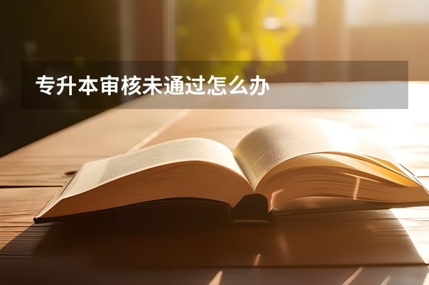 专升本审核未通过怎么办
